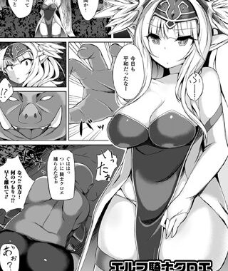 b073bktcm00612【無料超エロ漫画】エルフ騎士クロエ【単話】