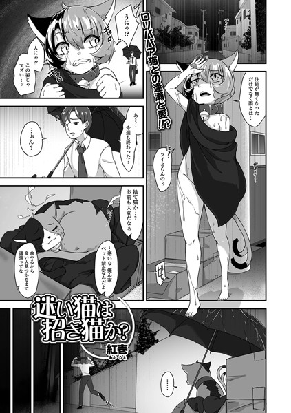 b164aisis04424【無料エロ漫画】迷い猫は招き猫か？