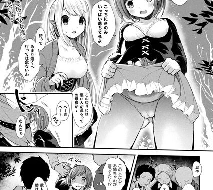 b241bktur01051【無料超エロ漫画】ハーフエルフ姉妹の受難【単話】