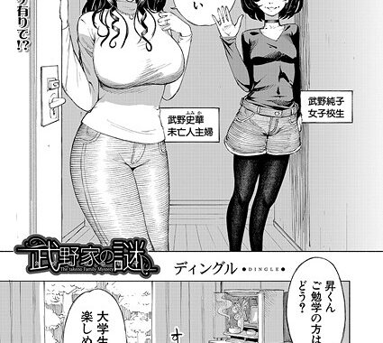 b104atint02308【無料超エロ漫画】武野家の謎 （ディングル）