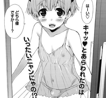 b240asncm00095【無料エロ漫画】にゃんにゃんブラザーズ！！