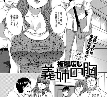 b399agoar00060【無料エロ漫画】義姉の胸