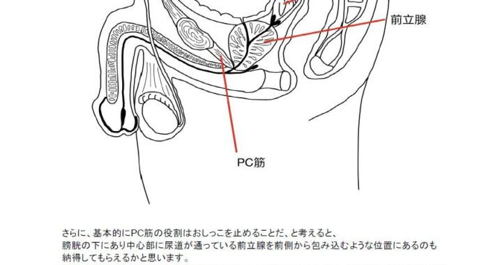 d_428431【無料超エロ漫画】【医学生監修】ダウナーお姉さんといっしょに喘いでメスイキに近づく 乳首＆前立腺 性感開発トレーニング