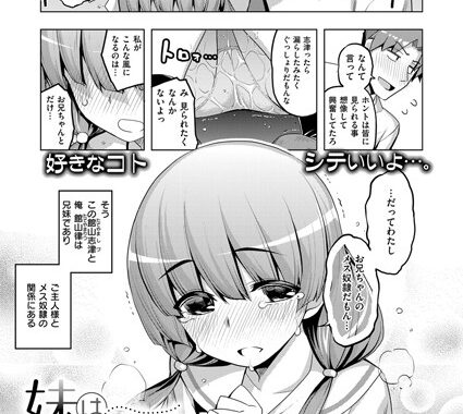 k161agote00328【無料エロ漫画】妹はメス奴●？