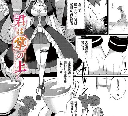 b472abnen02673【無料エロ漫画】君は掌の上